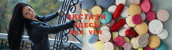 крисы Ельня