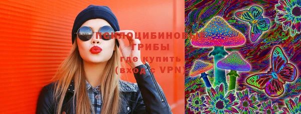 индика Алзамай