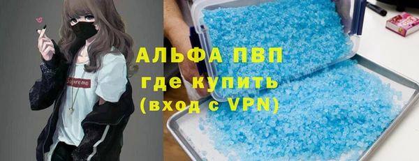 индика Алзамай