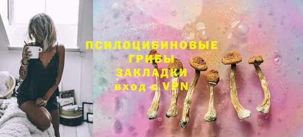 гидропоника Елабуга